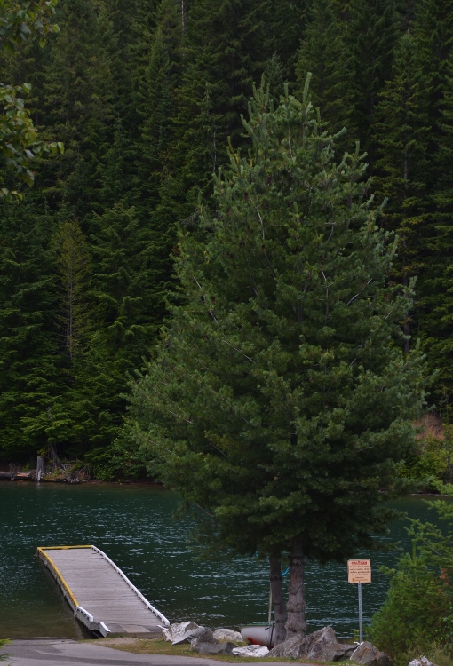 boat launch